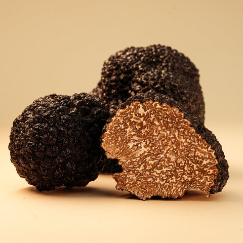 Schwarze Burgundertrüffel aus Deutschland (Tuber aestivum)