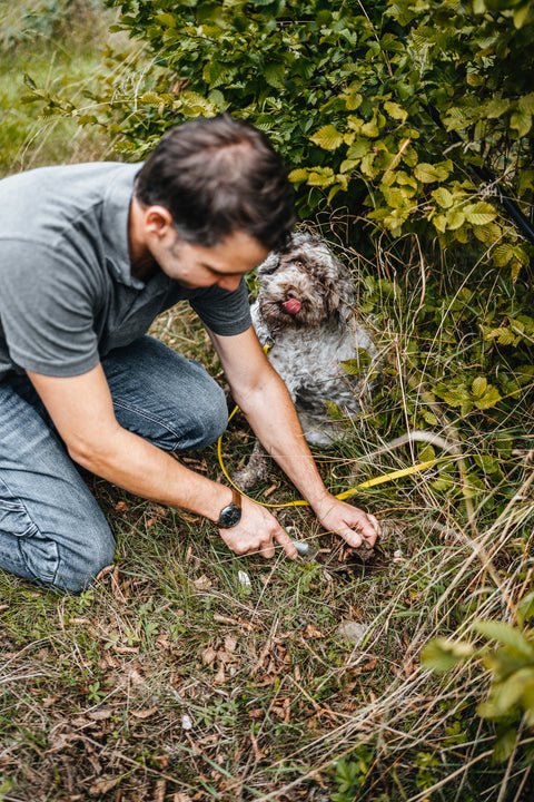 La Chasse aux Truffes – Die Trüffeljagd à la Pierre