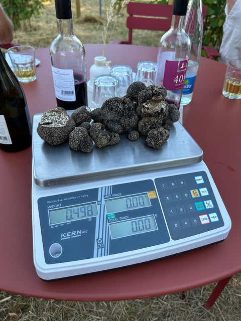 Frische Trüffel auf der Waage, auf einem Tisch