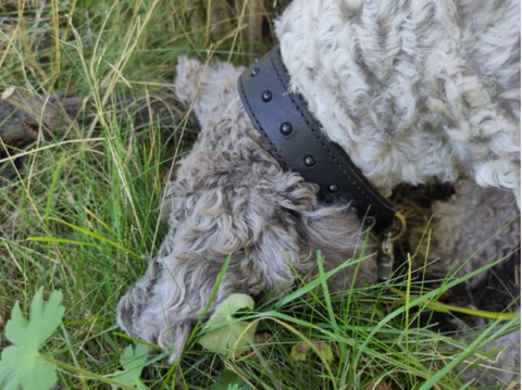 Wenn nicht jetzt, wann dann!