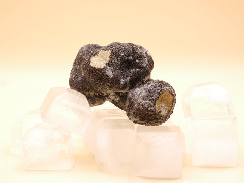 Schockgefrorene schwarze Burgundertrüffel (Tuber aestivum), internationale Herkunft