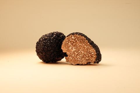 Schwarze Burgundertrüffel aus Deutschland (Tuber aestivum)