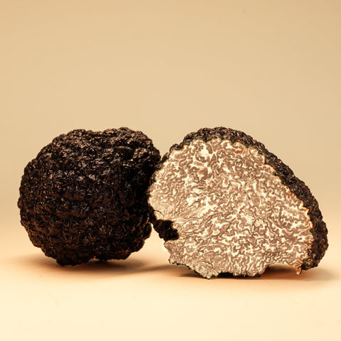 Schwarze Burgundertrüffel aus Deutschland (Tuber aestivum)