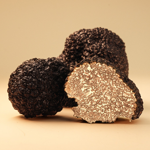 Schwarze Burgundertrüffel aus Deutschland (Tuber aestivum)