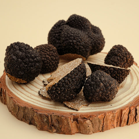 Schwarzer Burgundertrüffel (Tuber aestivum)