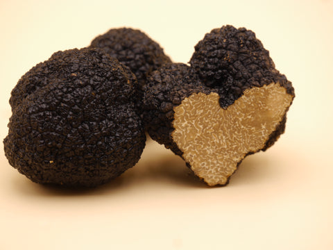Schwarze Burgundertrüffel von CHER PIERRE (Tuber aestivum)