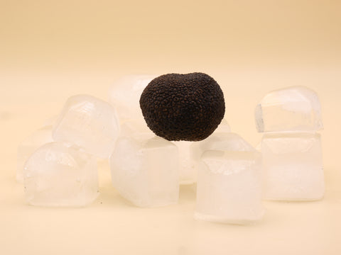 Schockgefrorene schwarze Périgordtrüffel (Tuber melanosporum)