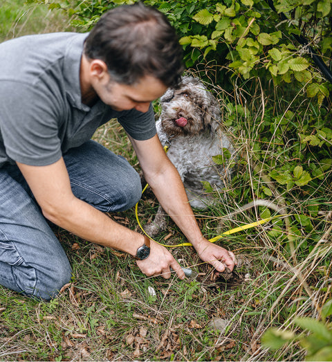 Thomas von Cher Pierre bei der Trüffelernte mit Trüffelhündin Giulietta im Enzkreis